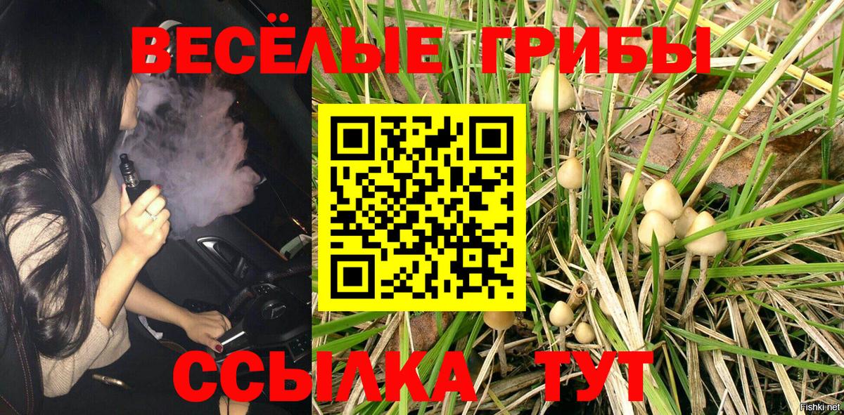 Новоалтайск  Псилоцибиновые грибы GOLDEN TEACHER  Вход с VPN 