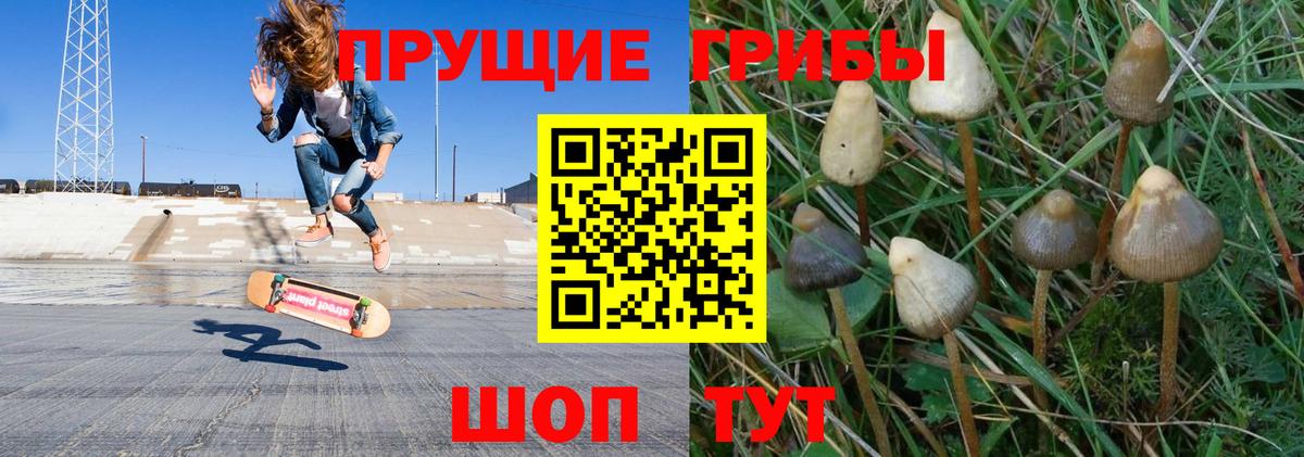 Галлюциногенные грибы Cubensis Новоалтайск