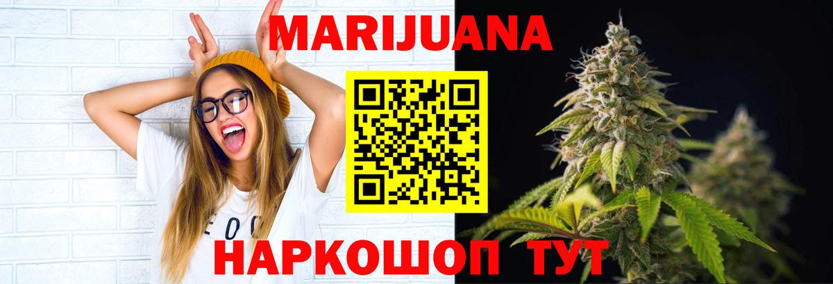 Канабис гибрид Новоалтайск
